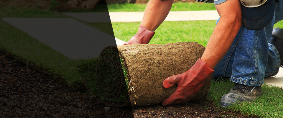 Floyd Landscapers